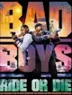 Bad boy