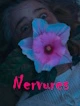 Nervures