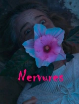 Nervures